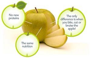 Arctic Apples highlight absurdity of GM regulations